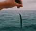 blog3